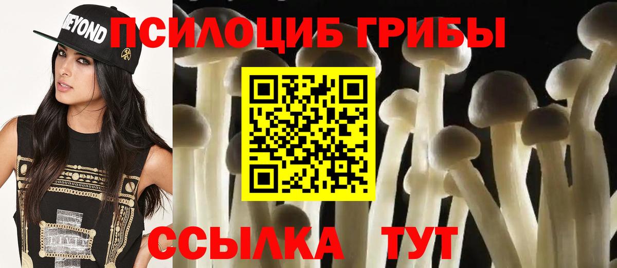 Псилоцибиновые грибы мухоморы Дедовск